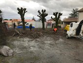 les branches sont déchiquetées pour pailler les massifs